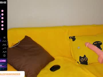 girl
        a1exyawonder cam image #54989