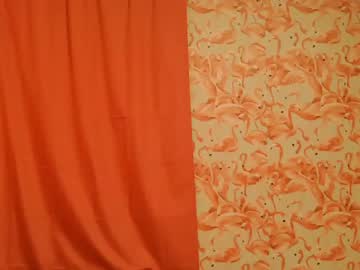 girl
        shelikessoymilk cam image #3310940