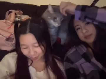 girl
        hiddenr0se cam image #560779