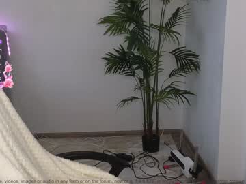 girl
        small_blondee cam image #4764292