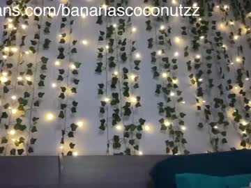 girl
        bananascoconutz cam image #2808243