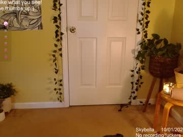 girl
        skybella_ cam image #5160093