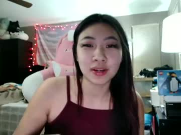 girl
        hiddenr0se cam image #445514