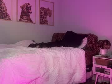 girl
        brielledaviss cam image #6586769
