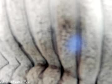girl
        x_lily_x cam image #674967