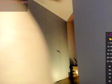 girl
        fairy_casey cam image #667011