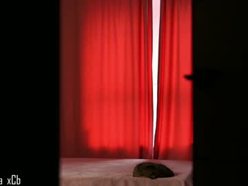 girl
        milanamuse cam image #3945517